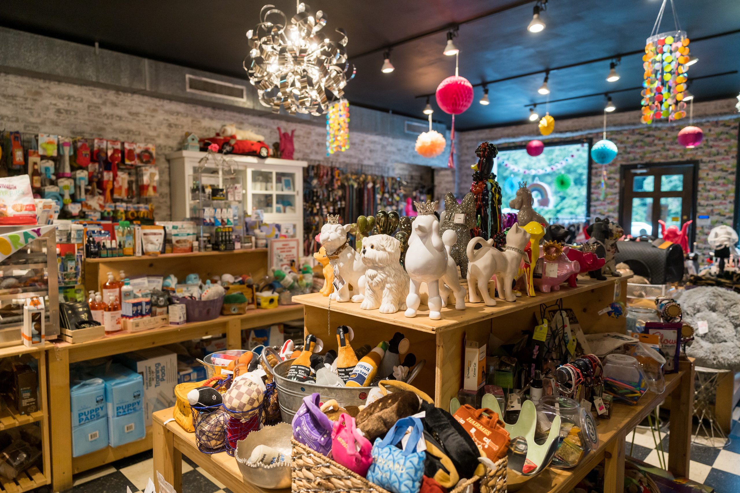 PetStoreNextDoor_0022