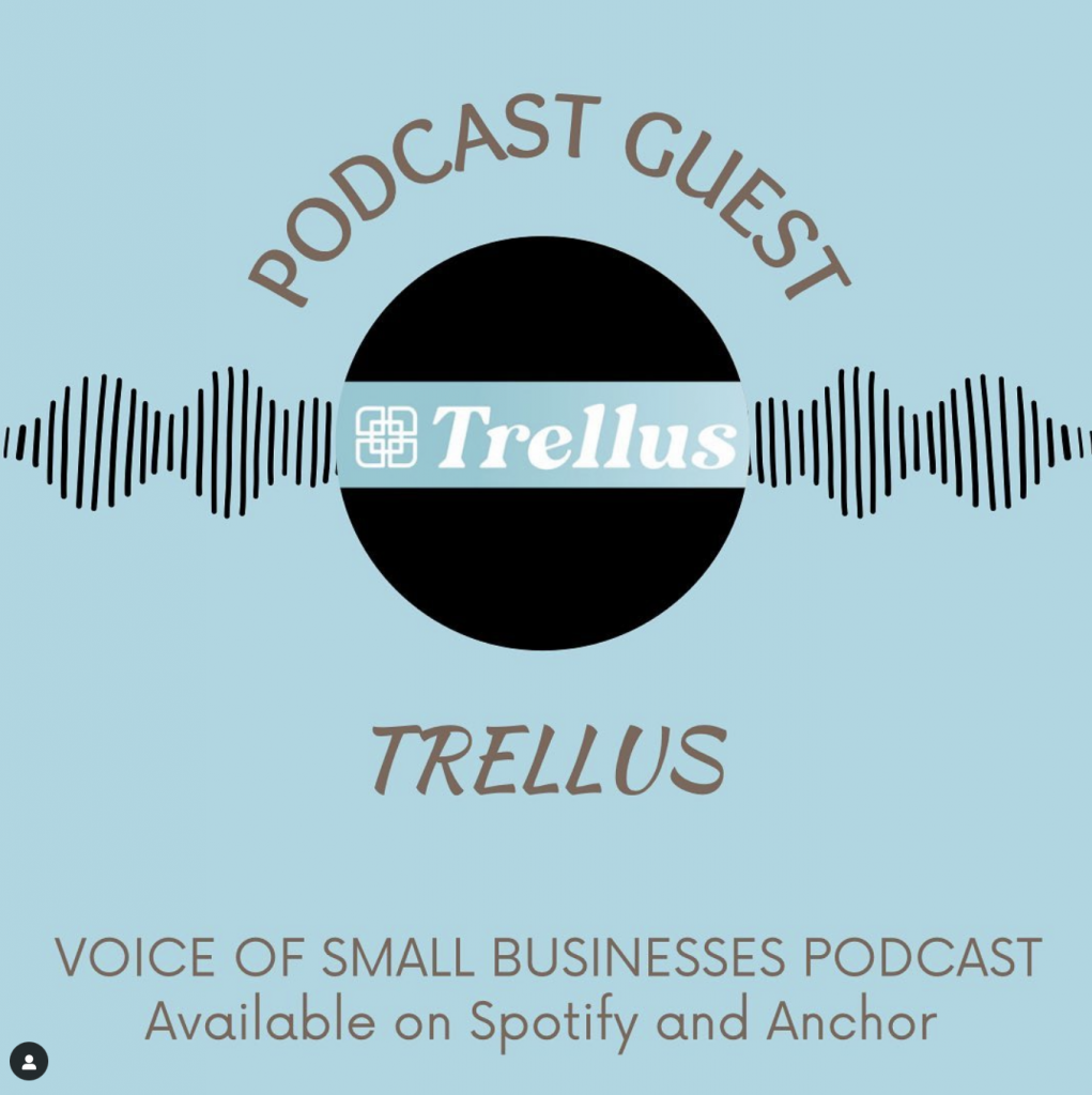 Long Island small business podcast