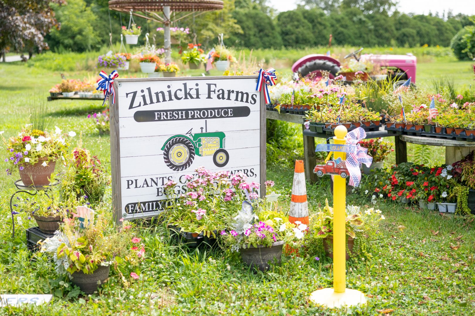 Zilnicki Farms CSA delivery
