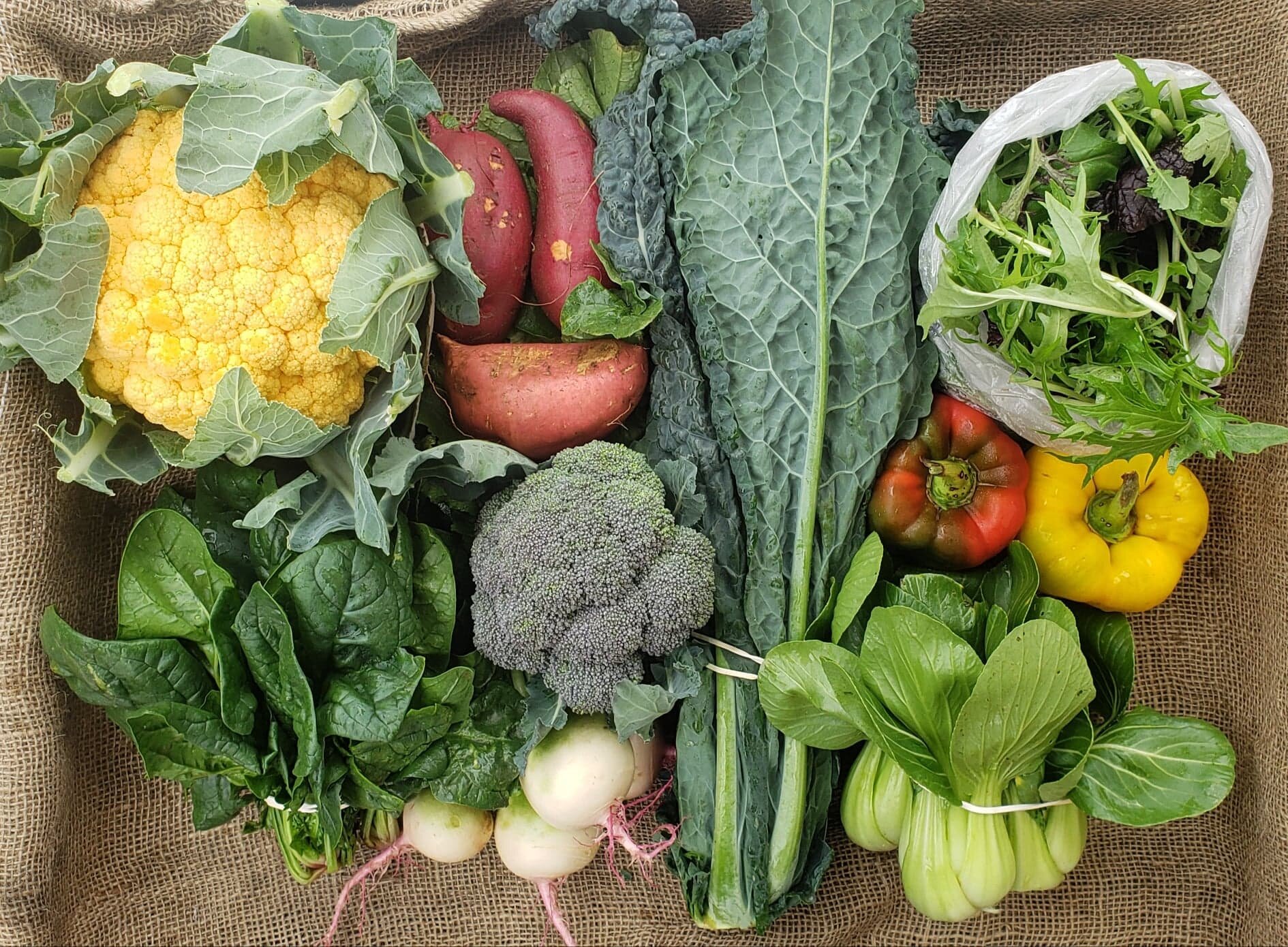 Natural_Earth_Organic_Farms