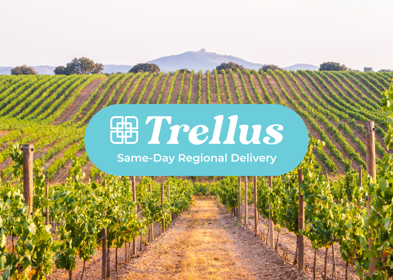 Trellus Same-Day Regional Delivery